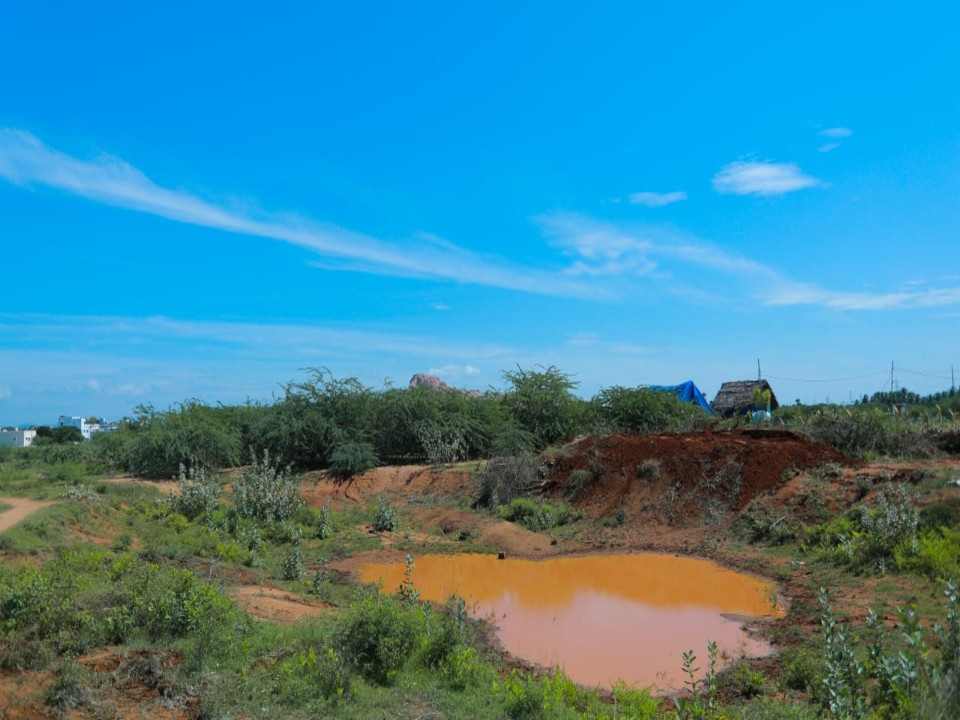 Lets Revitalize our Water Bodies!